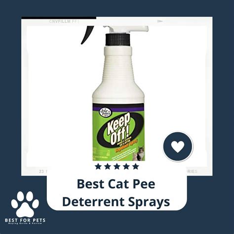 cat deterrent spray for peeing.